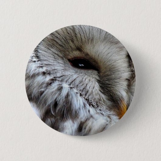 OWLS RONDE BUTTON 5,7 CM (Voorkant)