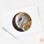 OWLS RONDE STICKER (Envelop)