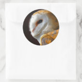 OWLS RONDE STICKER (Tas)