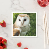 OWLS SERVET (Insitu)