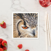 OWLS SERVET (Insitu)