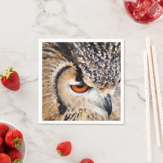 OWLS SERVET (Insitu)