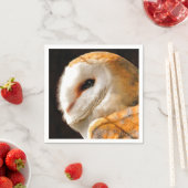 OWLS SERVETTEN (Insitu)