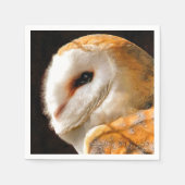 OWLS SERVETTEN (Voorkant)