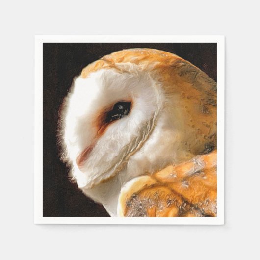 OWLS SERVETTEN (Voorkant)