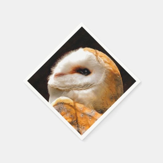 OWLS SERVETTEN (Hoek)