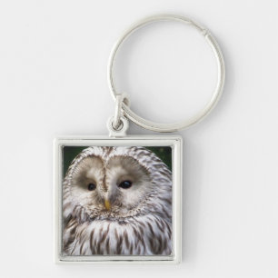 OWLS SLEUTELHANGER