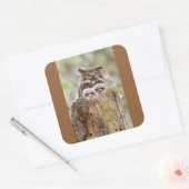 Owls Sticker (Envelop)