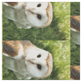 OWLS STOF (Close Up)