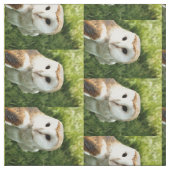 OWLS STOF (Swatch)