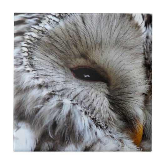 OWLS TEGELTJE (Voorkant)