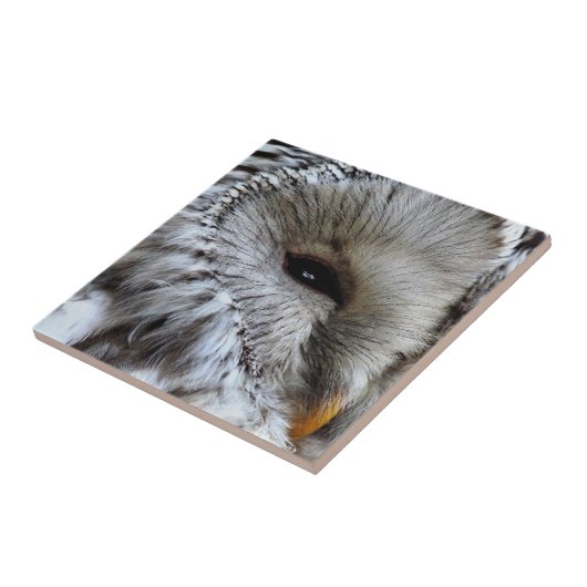 OWLS TEGELTJE (Zijkant)