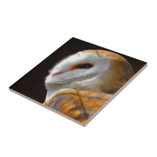 OWLS TEGELTJE (Zijkant)