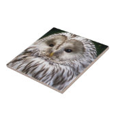 OWLS TEGELTJE (Zijkant)