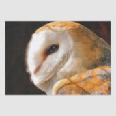 OWLS TISSUEPAPIER (Voorkant)