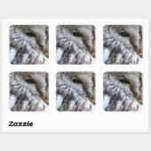 OWLS VIERKANTE STICKER (Vel)