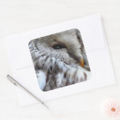 OWLS VIERKANTE STICKER (Envelop)