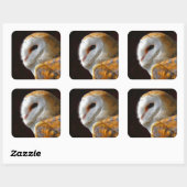 OWLS VIERKANTE STICKER (Vel)