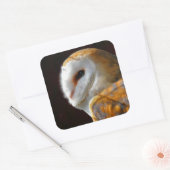 OWLS VIERKANTE STICKER (Envelop)