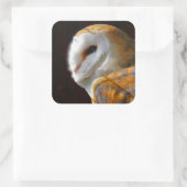 OWLS VIERKANTE STICKER (Tas)