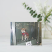 Owney National Post Kantoor Museum Mascot Briefkaart (Staand voorkant)