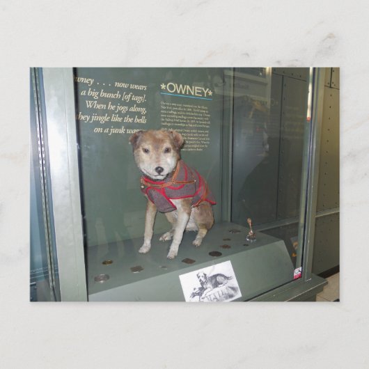Owney National Post Kantoor Museum Mascot Briefkaart (Voorkant)
