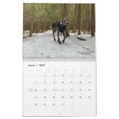 OWRAssist Love Rescues Kalender (Mar 2027)