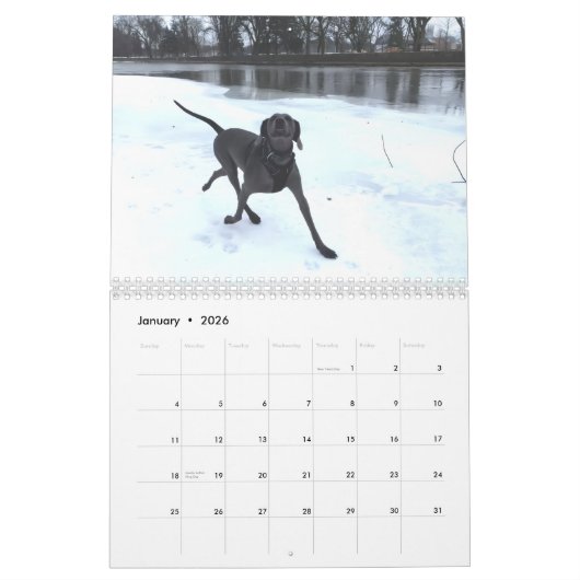 OWRAssist Love Rescues Kalender (Jan 2026)