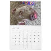 OWRAssist Love Rescues Kalender (Mar 2027)