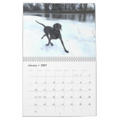 OWRAssist Love Rescues Kalender (Jan 2027)