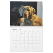 OWRAssist Love Rescues Kalender (Feb 2027)