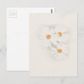 Ox-oogmaaltijd Briefkaart (Voorkant / Achterkant)