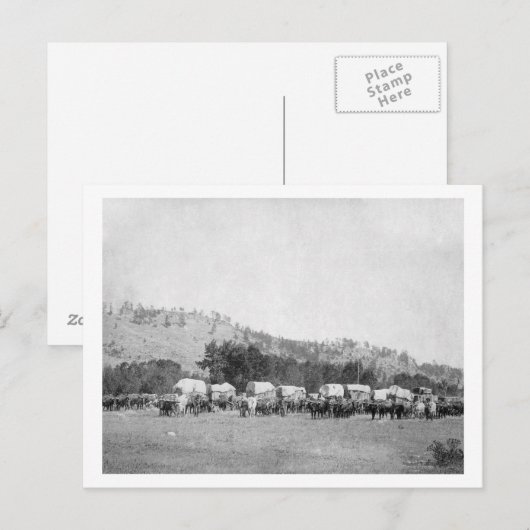 Ox Teams and Wagons in een vallei van de Zwarte Ze Briefkaart (Voorkant / Achterkant)