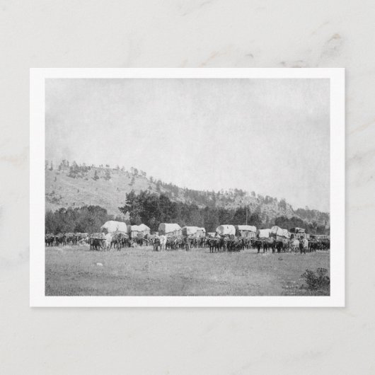 Ox Teams and Wagons in een vallei van de Zwarte Ze Briefkaart (Voorkant)