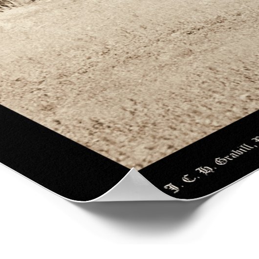 Ox Teams Freighting in Valley Black Hills SD 1887 Poster (Hoek)