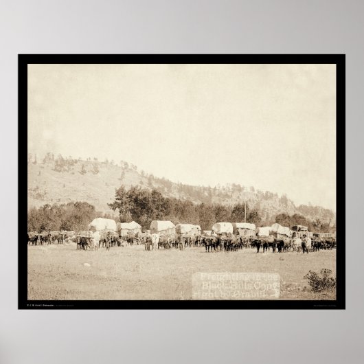 Ox Teams Freighting in Valley Black Hills SD 1887 Poster (Voorkant)