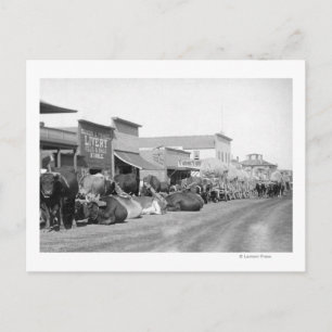Ox Teams langs de hoofdstraat van de Sturgis-foto Briefkaart