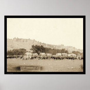 Ox Teams & Wagons Freighting Black Hills SD 1887 Poster