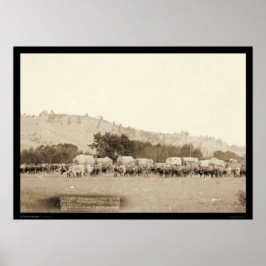 Ox Teams & Wagons Freighting Black Hills SD 1887 Poster (Voorkant)