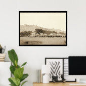 Ox Teams & Wagons Freighting Black Hills SD 1887 Poster (Thuiskantoor)