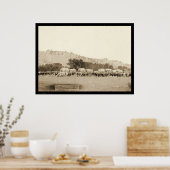 Ox Teams & Wagons Freighting Black Hills SD 1887 Poster (Keuken)