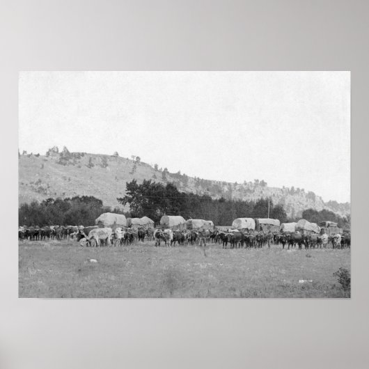 Ox-treinen tussen Sturgis en Deadwood Photograp Poster (Voorkant)