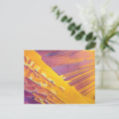 Oxaalzuurkristallen Briefkaart (Staand voorkant)