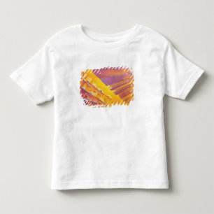 Oxaalzuurkristallen Kinder Shirts