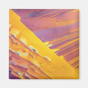 Oxaalzuurkristallen Magneet