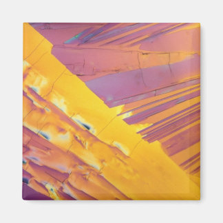 Oxaalzuurkristallen Magneet