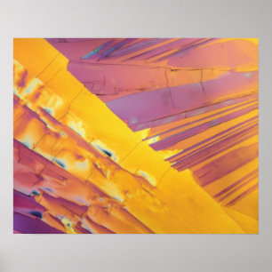 Oxaalzuurkristallen Poster