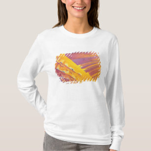 Oxaalzuurkristallen T-shirt