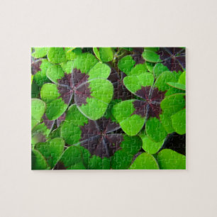 Oxalis-bladeren - rood en groen legpuzzel