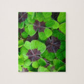 Oxalis-bladeren - rood en groen legpuzzel (Verticaal)